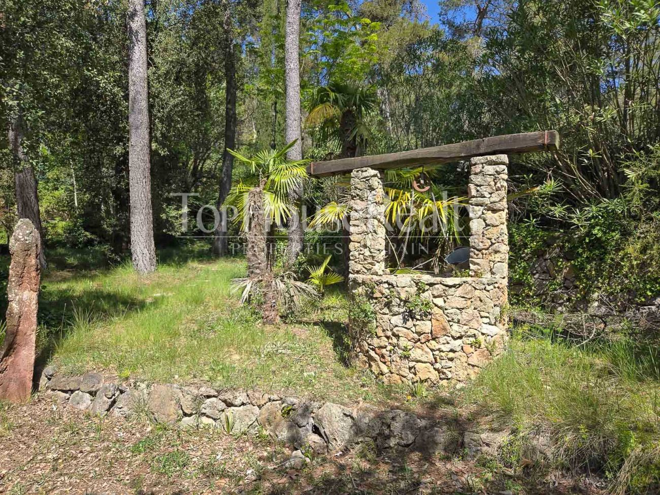 Villa de lujo en Begues — finca única con 6.000 m² de parcela y alto potencial de inversión