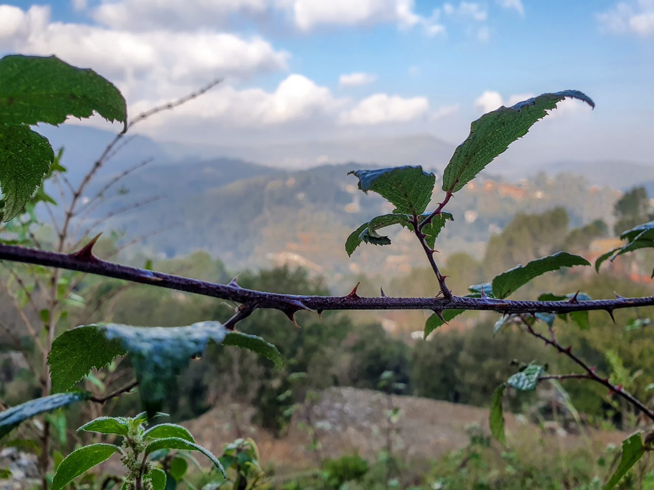 Magnífico terreno con vistas panorámicas cerca de Barcelona