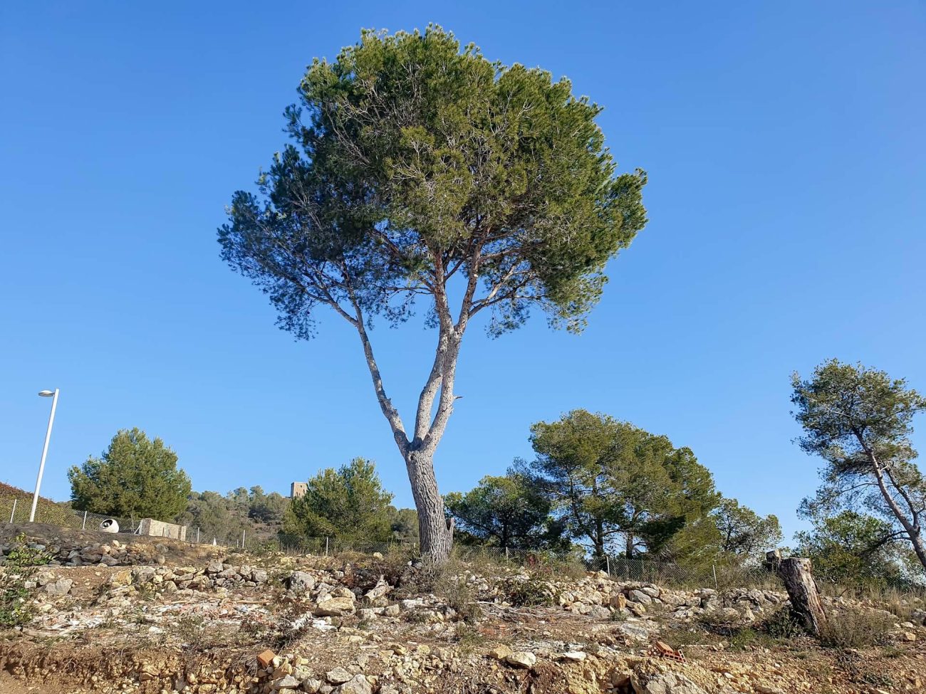 Magnífica parcela con vistas al mar en Sitges