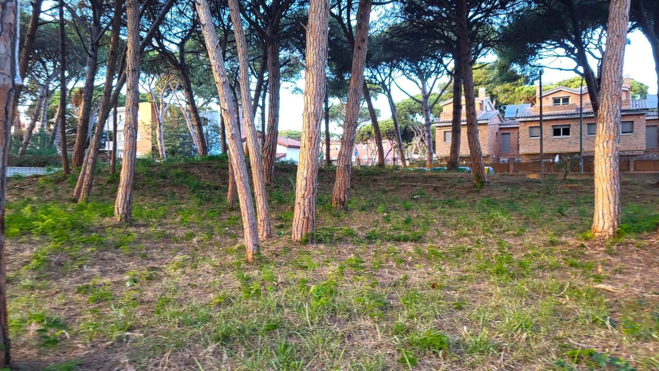El sueño de la casa perfecta cerca de la playa