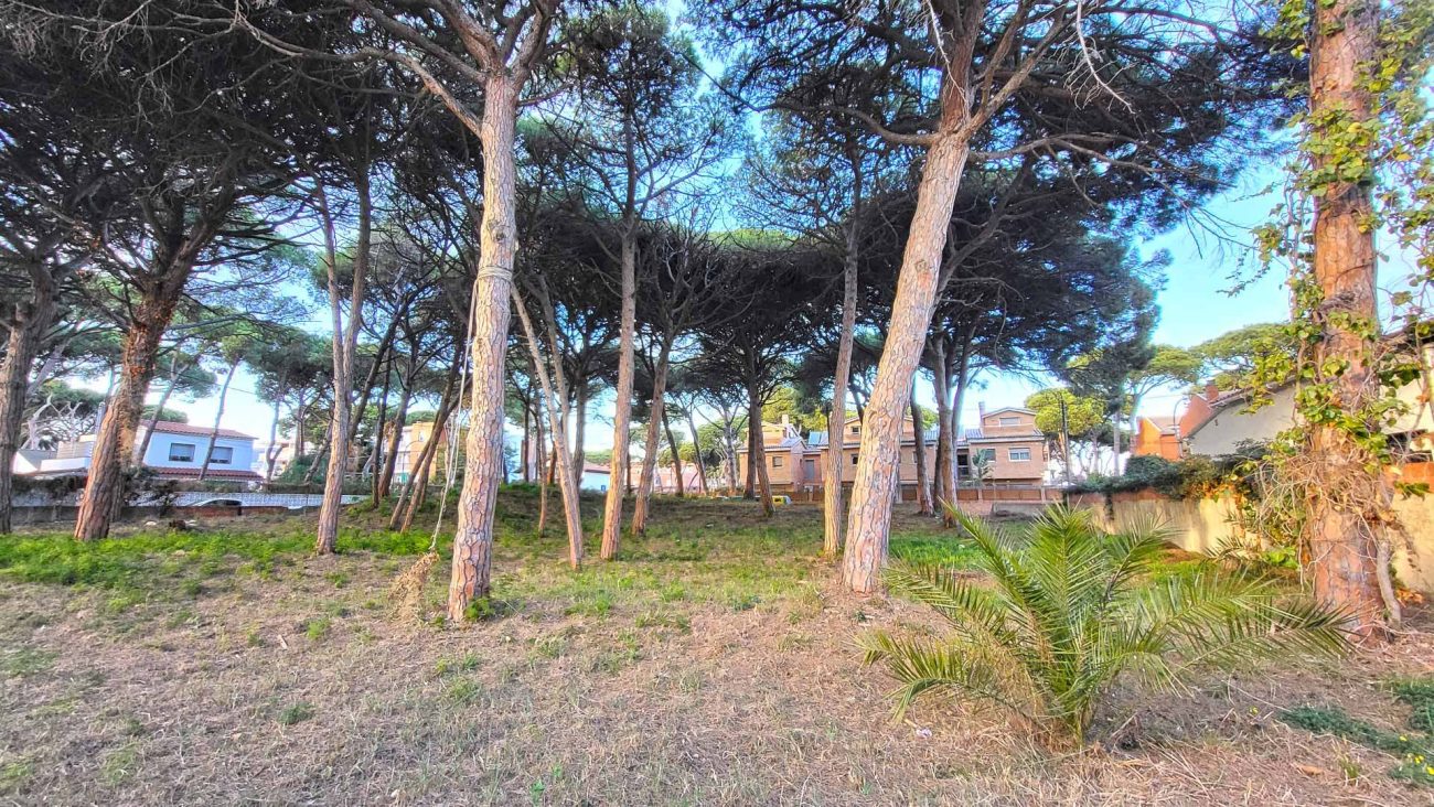 El sueño de la casa perfecta cerca de la playa