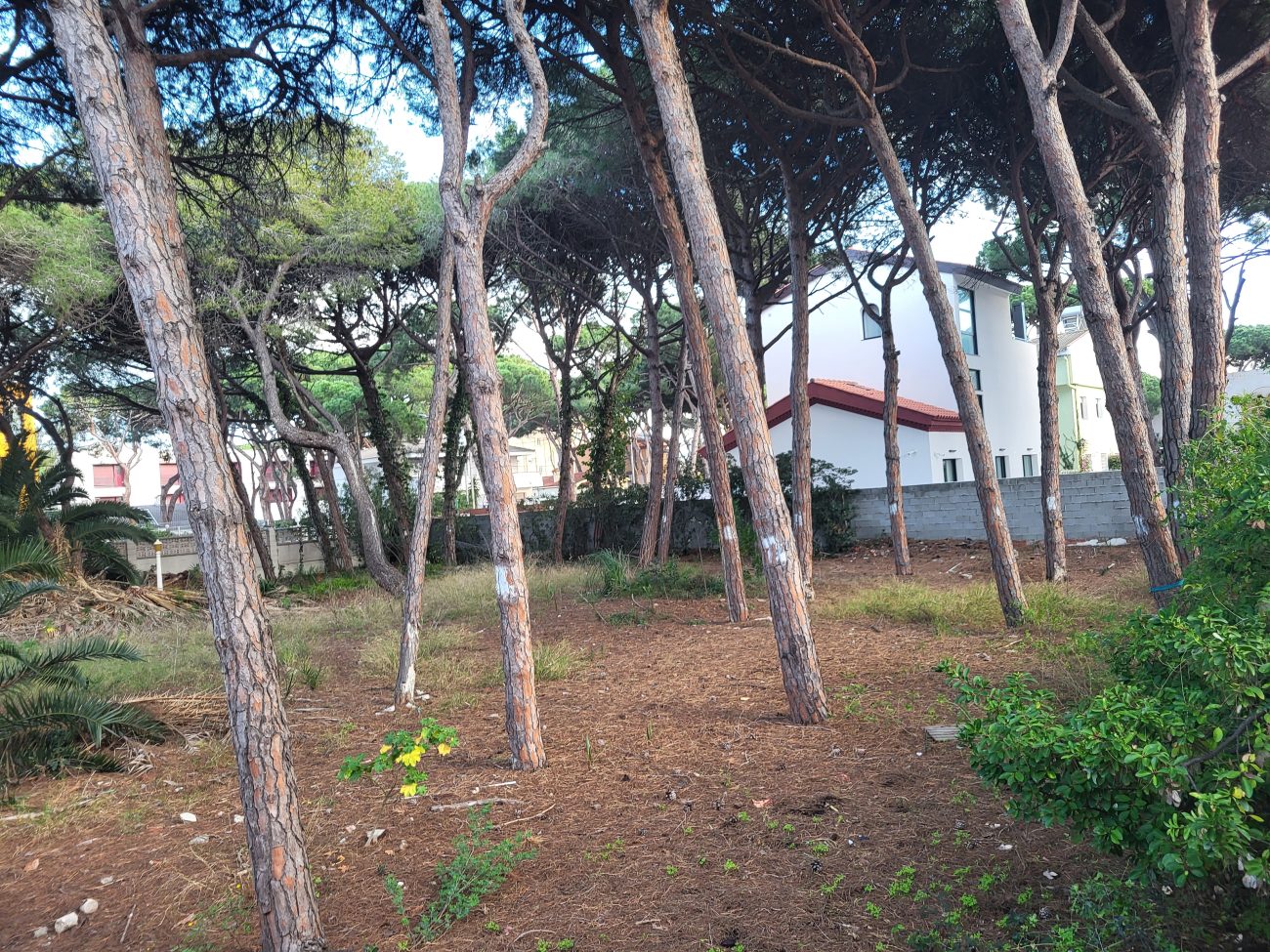 Parcela exclusiva para vivienda unifamiliar en la playa de Castelldefels