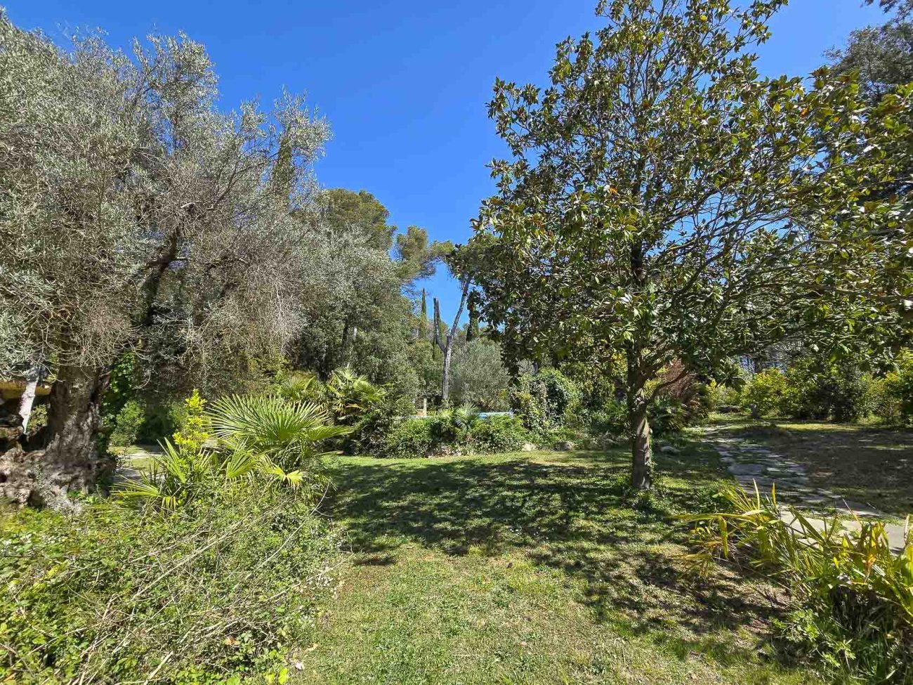 Villa de lujo en Begues — finca única con 6.000 m² de parcela y alto potencial de inversión
