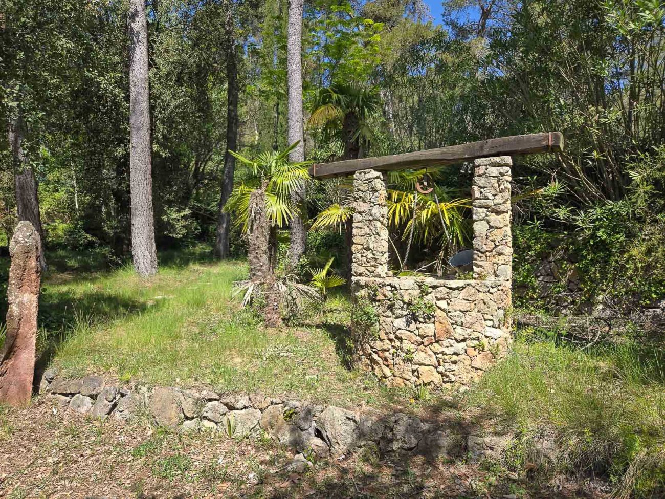 Villa de lujo en Begues — finca única con 6.000 m² de parcela y alto potencial de inversión