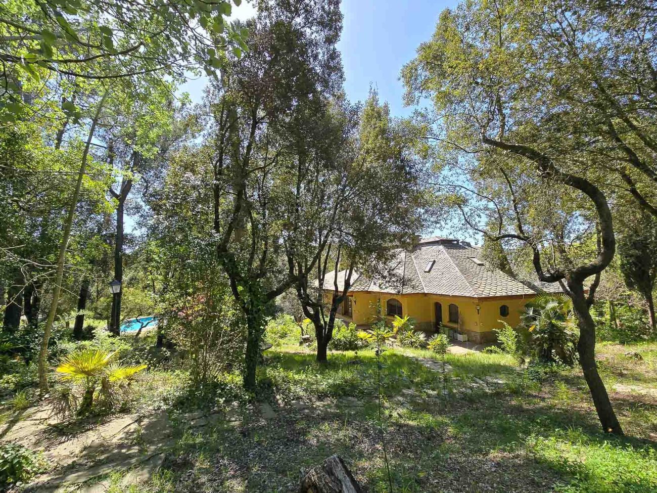 Villa de lujo en Begues — finca única con 6.000 m² de parcela y alto potencial de inversión