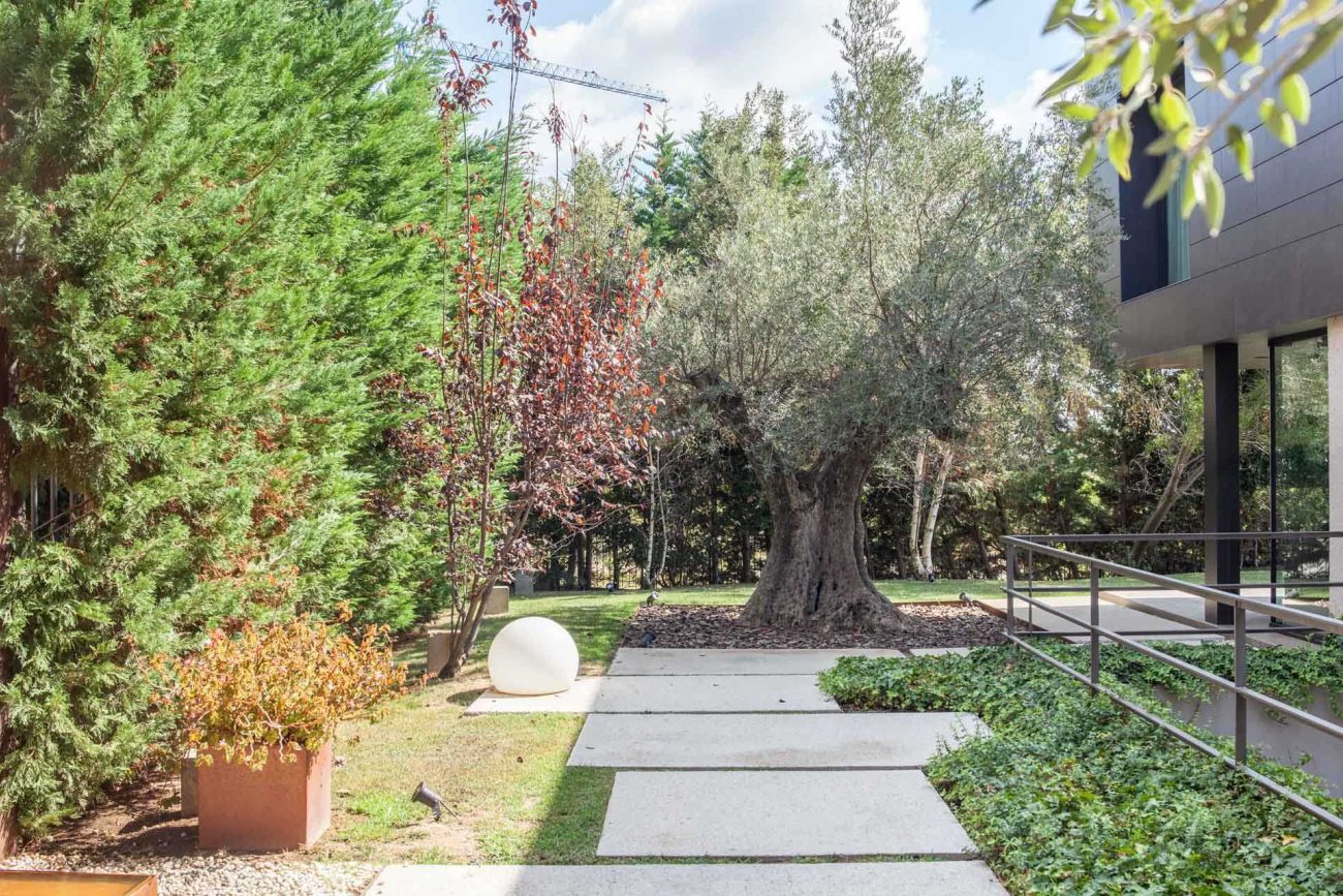 Un oasis de tranquilidad en Esplugues del Llobregat
