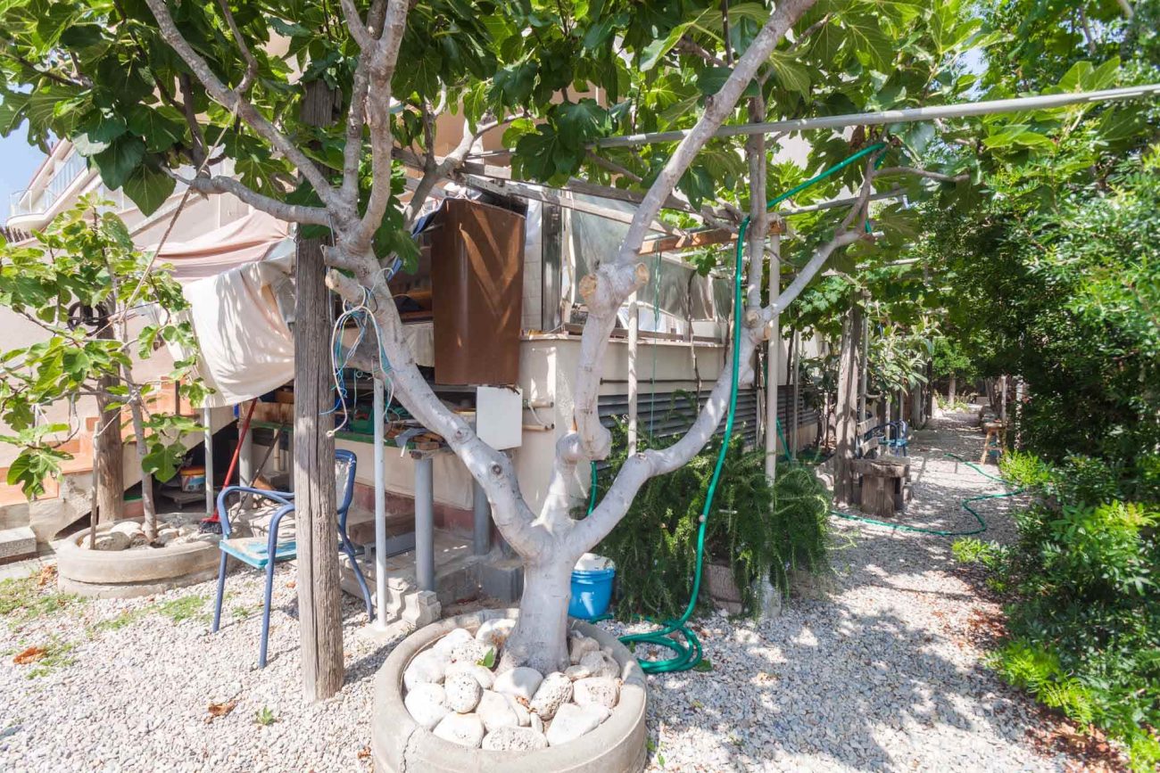 Gran apartamento a cincuenta metros de la playa