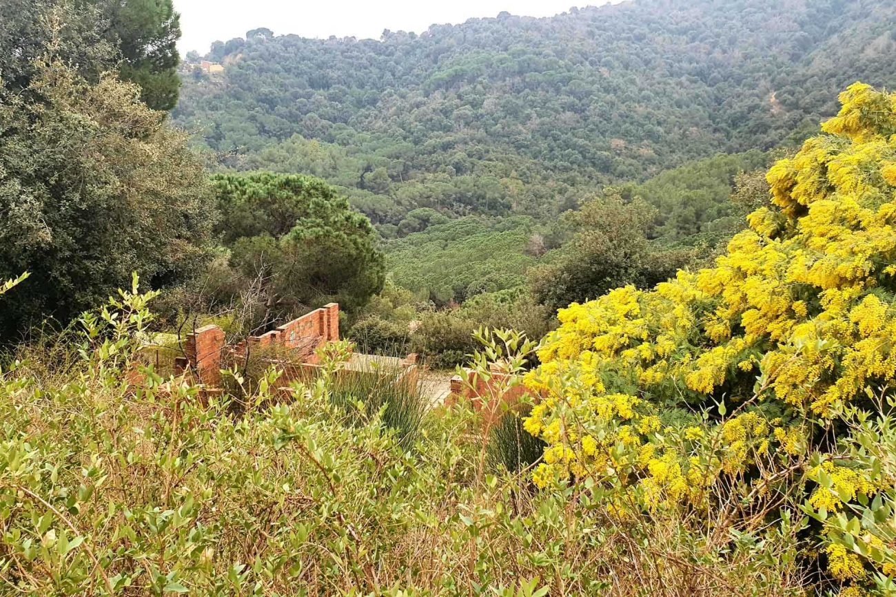 Parcela con preciosas vistas a la montaña en Alella