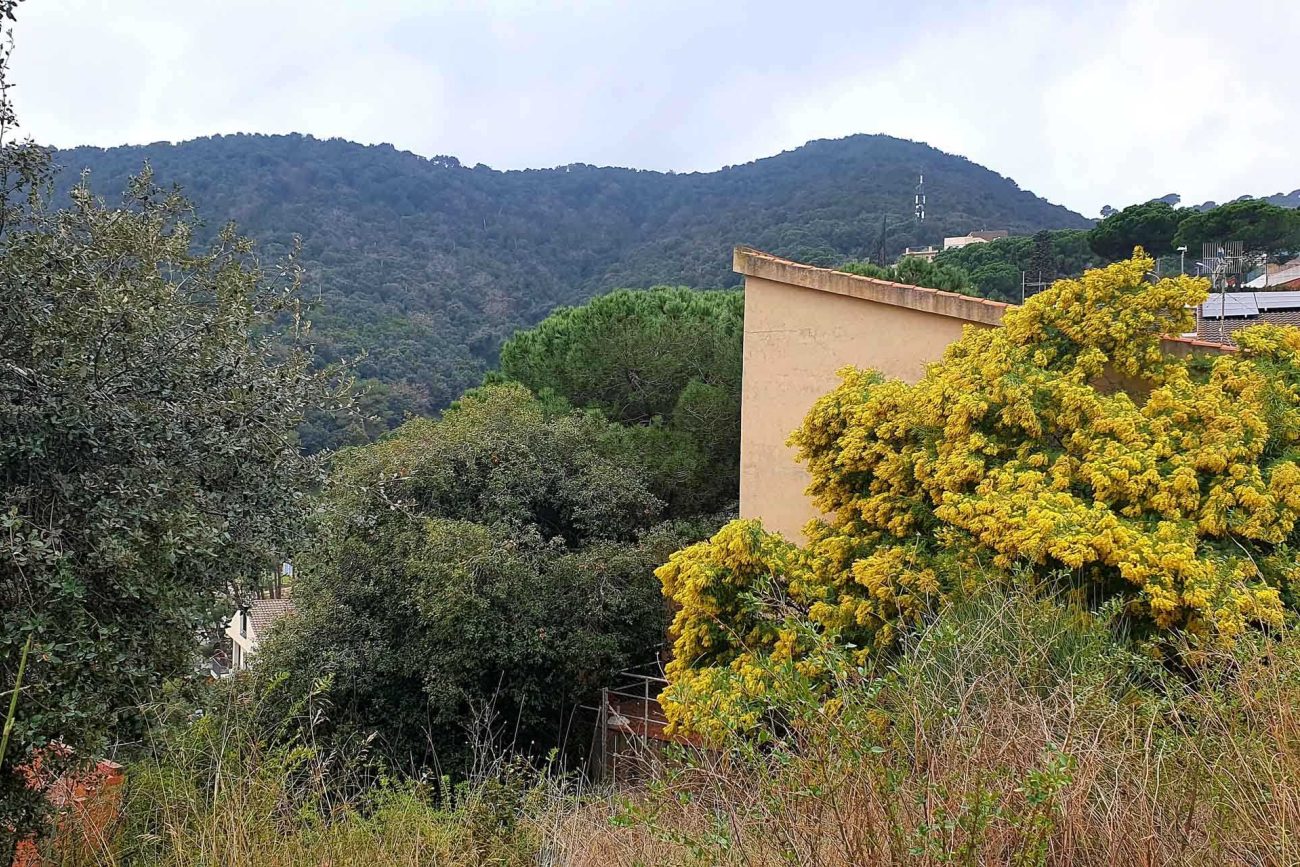 Parcela con preciosas vistas a la montaña en Alella