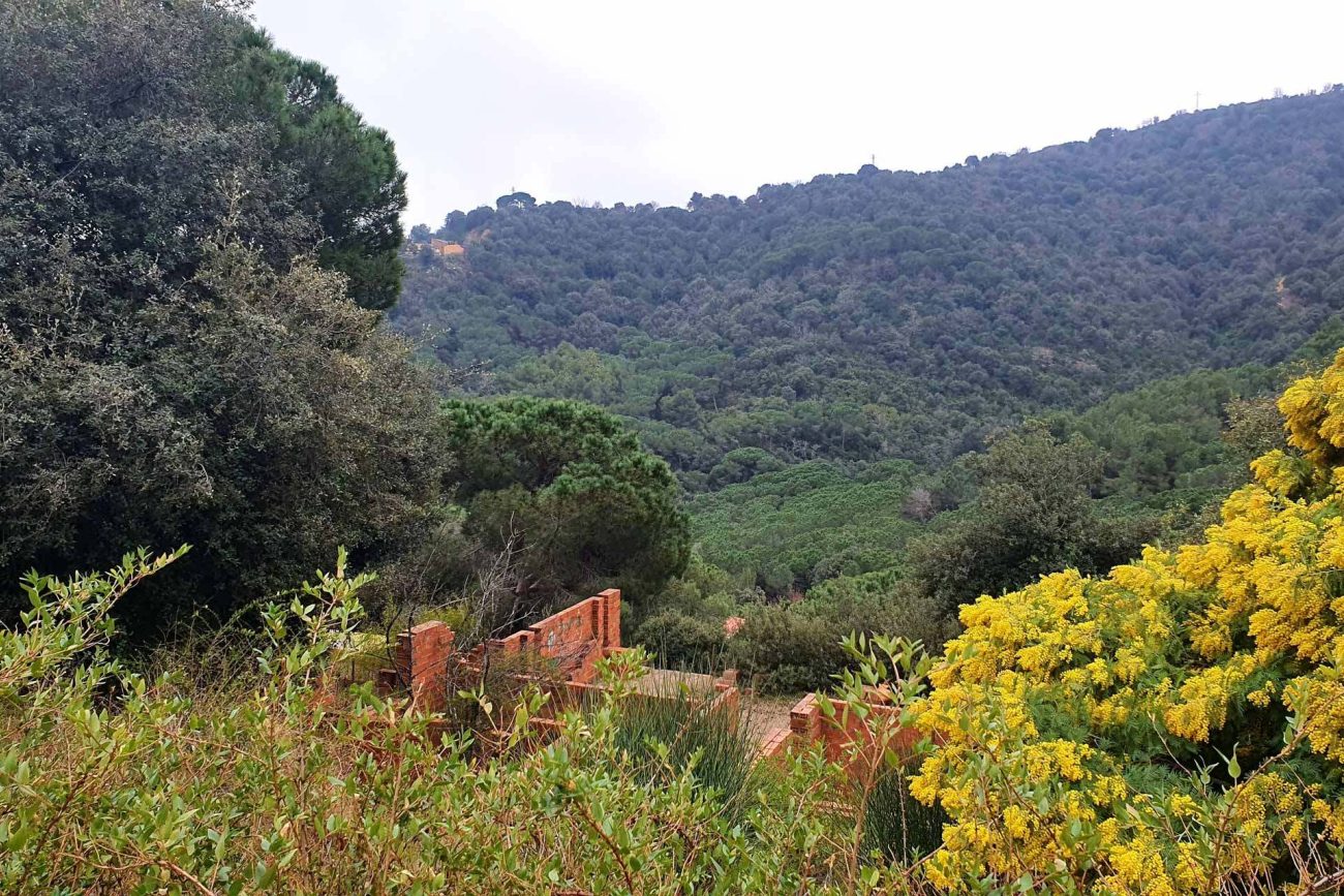 Parcela con preciosas vistas a la montaña en Alella