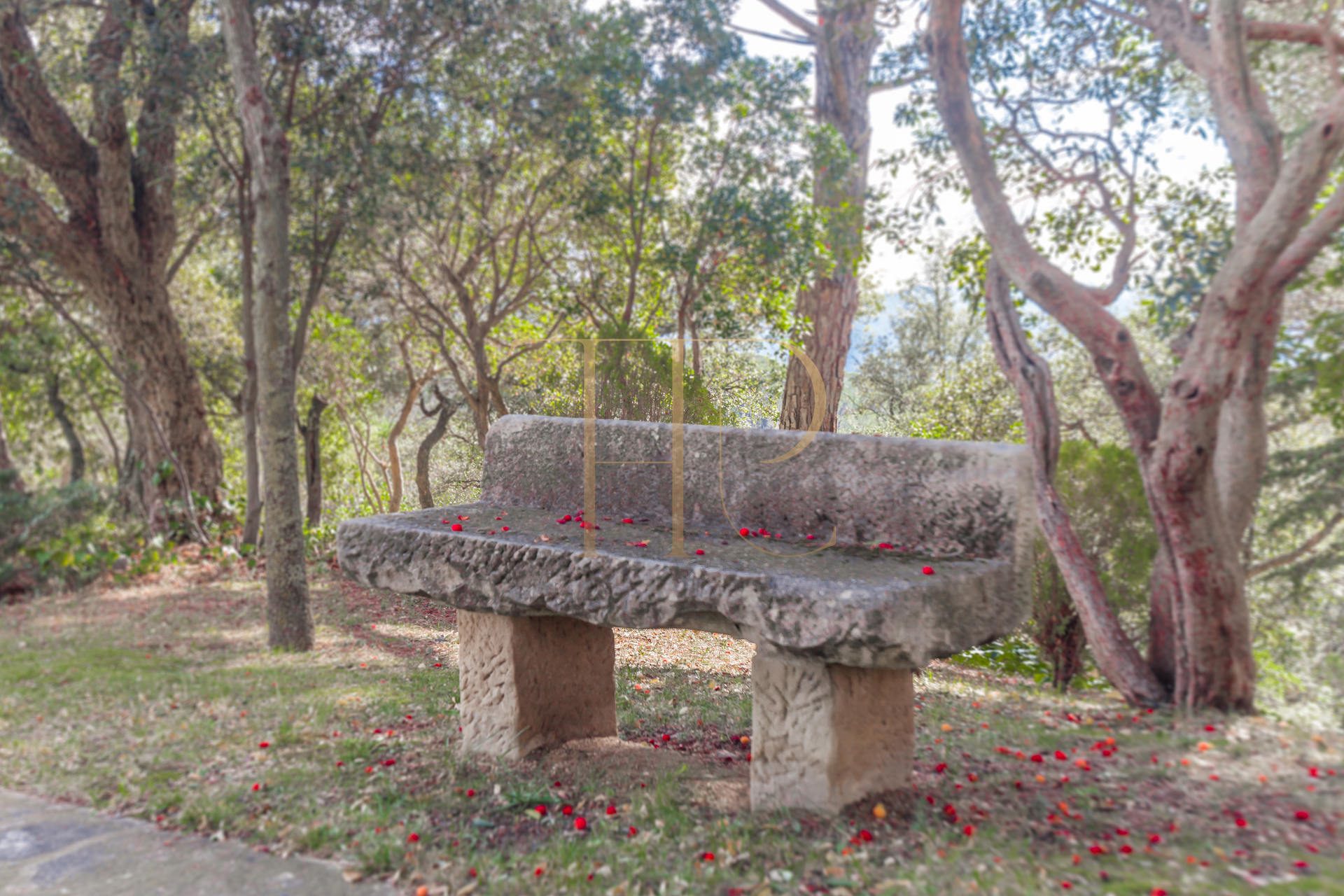 Vendida: finca con piscina y vistas en Campins